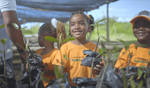 Educación ambiental para la conservación y restauración ambiental en Colombia