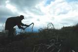 La Reforma Rural ya no sería "integral" por estos recortes del Gobierno