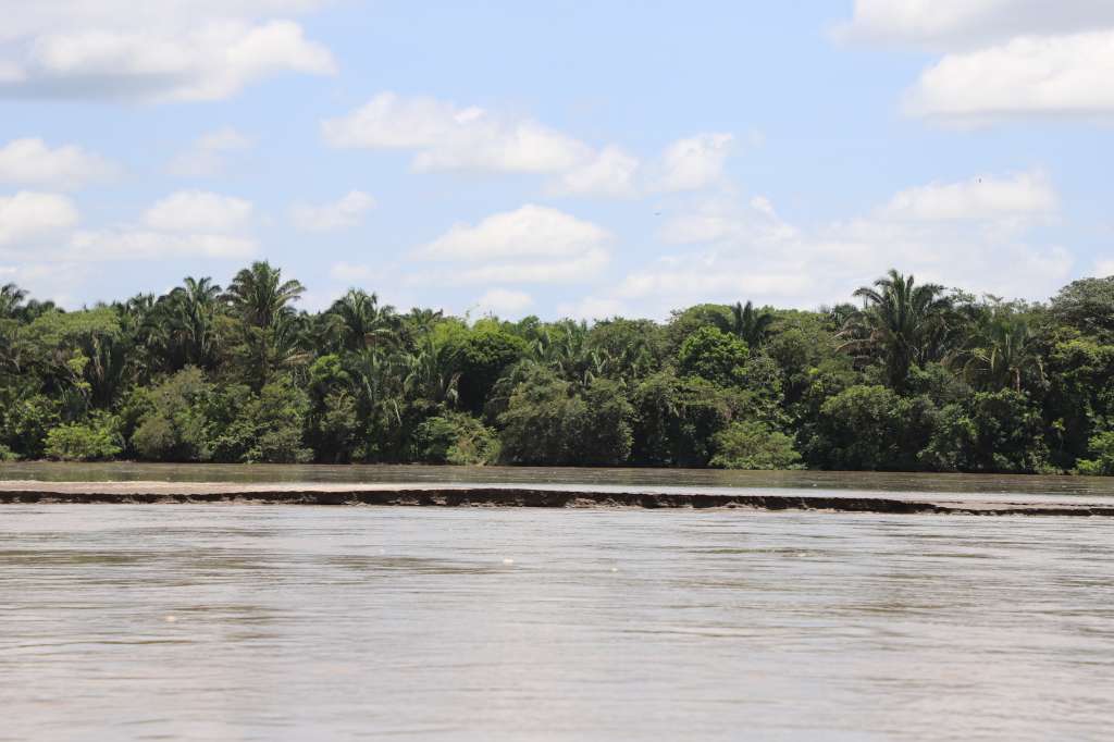 La cuenca del Río Cravo Sur es una de las que más presencia de cultivos registra, se calcula que podría perder hasta el 38% de su oferta hídrica./ Foto Cristhian Aguirre H, TNC Colombia