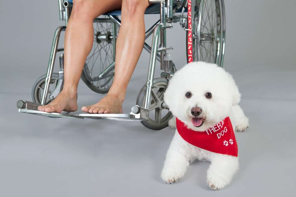 / Istock