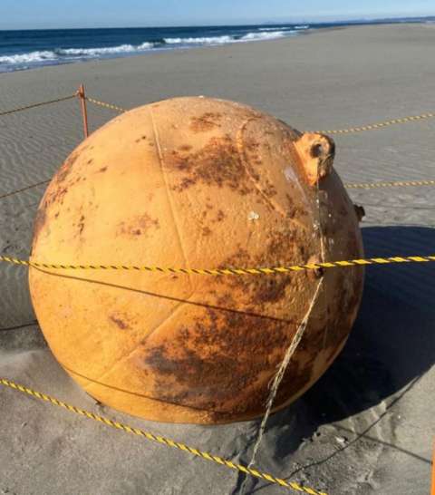 Un oceanógrafo confirmó de qué se trataba la esfera gigante que apareció en Japón