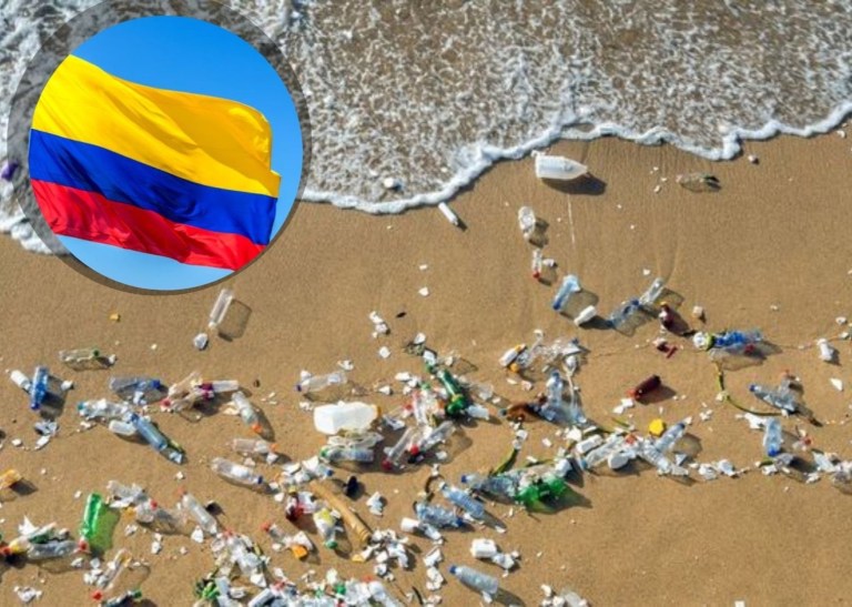 Corte Constitucional ajustó impuestos sobre plásticos de un solo uso en Colombia