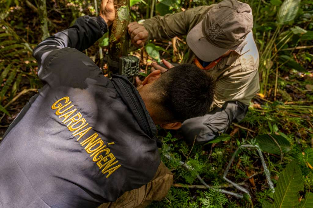 Investigadores capacitan a comunidades indígenas en monitoreo ambiental en el resguardo Yaguará.