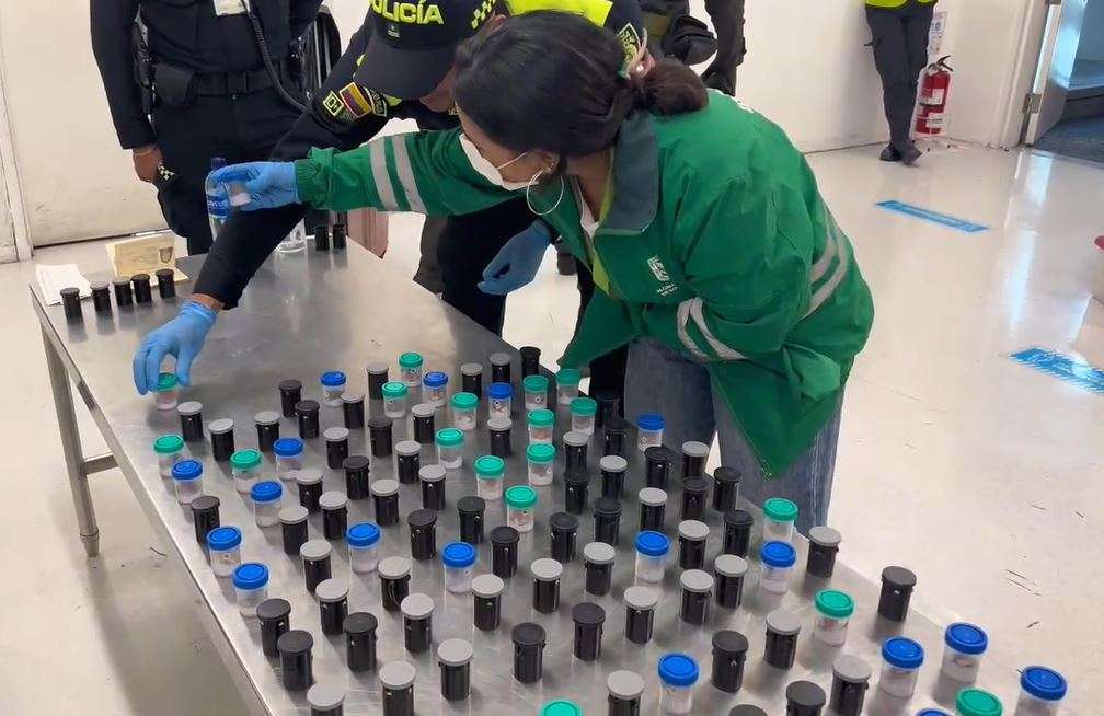 Tráfico de fauna por el aeropuerto El Dorado