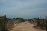 Crisis humanitaria en La Guajira persiste tras levantamiento de bloqueos en Troncal Caribe