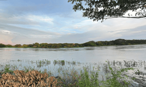 Adolescente murió luego de salvar a una niña que se ahogaba en el río Magdalena
