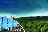 Acción Climática Empresarial basada en Restauración