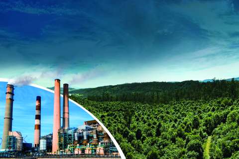 Acción Climática Empresarial basada en Restauración