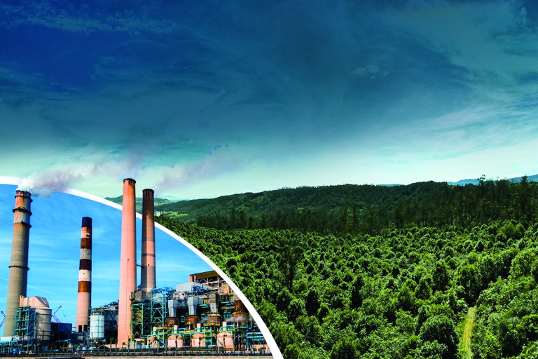 Acción Climática Empresarial basada en Restauración