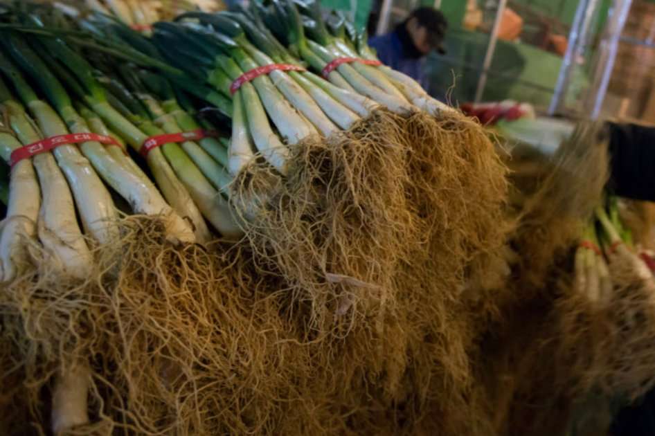 El aumento del empleo va de la mano con el crecimiento del sector de agricultura, ganadería, caza y silvicultura.