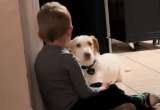 Niño de tres años le explica a su perro por qué no debería escaparse (video)