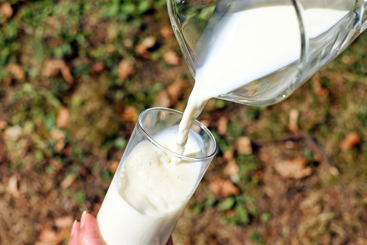 Uno de los puntos fuertes de la leche es su efectividad contra el oídio, una enfermedad fúngica común y muy dañina para las plantas.
