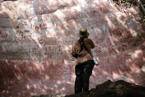 Guaviare: un territorio ancestral que hoy se transforma a través del turismo sostenible