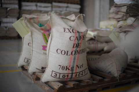 Colombia consolida su fuerza cafetera en China: ¿por qué destaca este café en Asia?