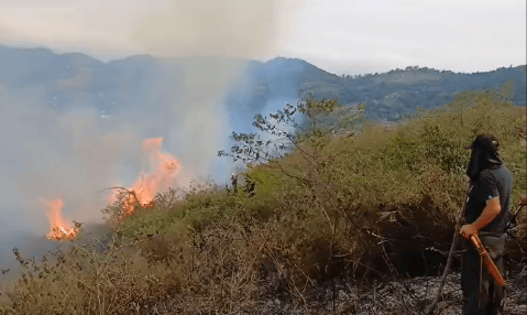 Alrededor de 200 hectáreas han sido afectadas por incendio en Yumbo, Valle
