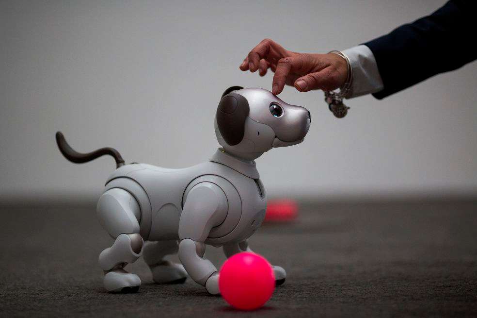 Aibo, el perro capaz de crear conexiones emocionales con los humanos. / AFP