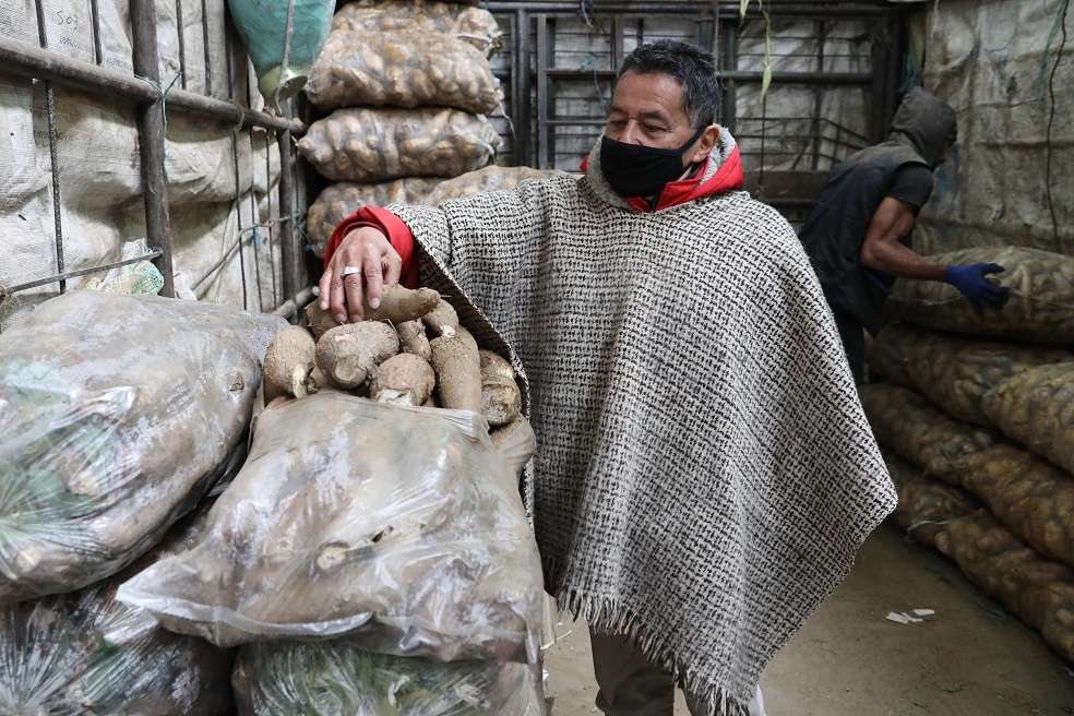 Comerciante de yuca en Corabastos (Bogotá). Imagen de referencia.