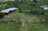 Las promesas para frenar la deforestación que no despegan en la Amazonia