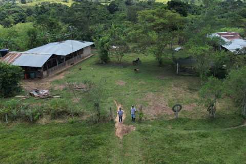 Las promesas para frenar la deforestación que no despegan en la Amazonia