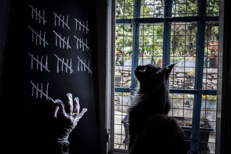 “Para que un estímulo correctivo sirva, debe ser inmediato tras la acción y los suficientemente intenso como para provocar la molestia, sin producir daño o miedo”: Carlos Rodríguez, experto en gatos.