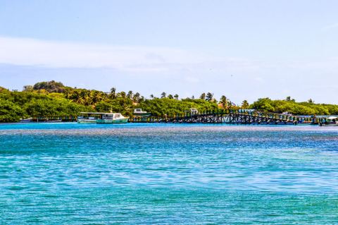 Cinco recorridos virtuales por Parques Nacionales Naturales de Colombia