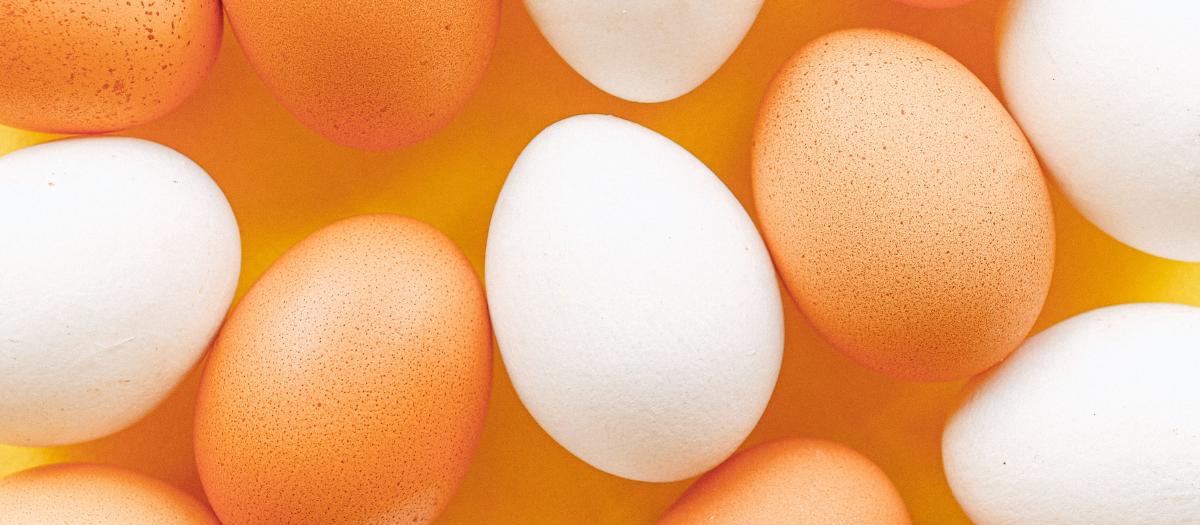Recetas con huevos: 3 opciones para que disfrutes en el desayuno