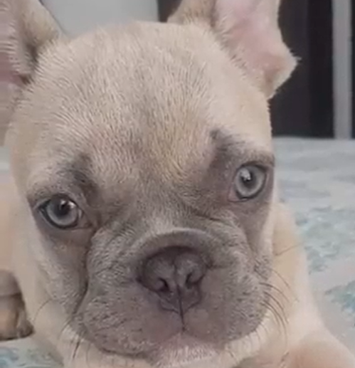 Blue se reencontró con su familia este sábado 30 de abril.