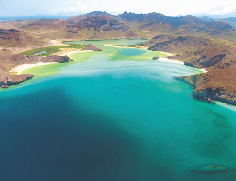 En la playa Balandra, considerada la más hermosa del estado de Baja California Sur, se puede caminar medio kilómetro con el agua hasta la cadera. / Cortesía