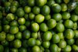 Limón Tahití exprime sus exportaciones y toma fuerza en el mundo