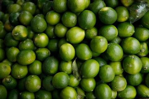 Limón Tahití exprime sus exportaciones y toma fuerza en el mundo
