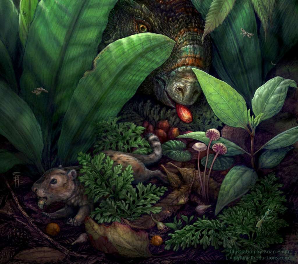 Reconstrucción artística del sotobosque de un bosque del Cretácico tardío, basada en fósiles de 75 millones de años de antigüedad procedentes de un entorno interior que ahora forma parte de Nuevo México. La escena muestra dos ejemplos hipotéticos de dispersores de semillas de grandes plantas con flores (angiospermas) antes de la desaparición de los dinosaurios hace 66 millones de años. Se observa un mamífero primitivo (izquierda), miembro de un grupo extinto de animales parecidos a roedores llamados multituberculados, y un dinosaurio marginocefaliano (arriba) entre angiospermas y helechos. /Brian Engh, livingrelicproductions.com