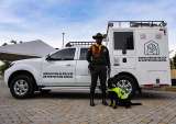 Medellín contará con una patrulla para atender casos de maltrato animal