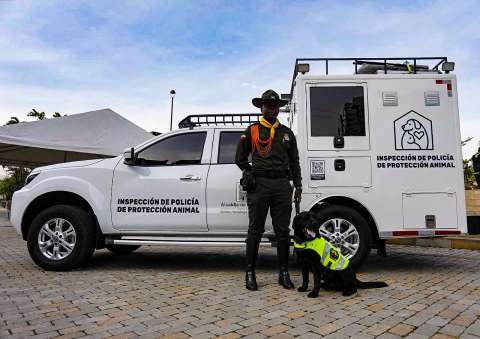 Medellín contará con una patrulla para atender casos de maltrato animal