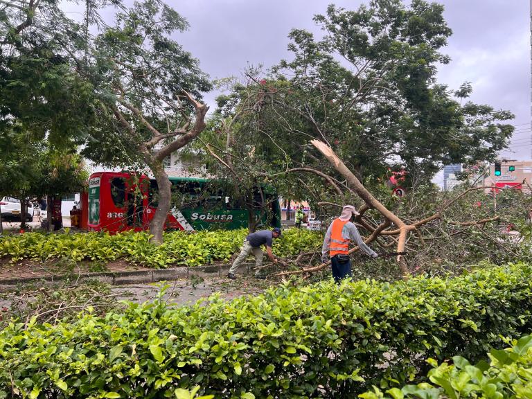 ¿Qué pasó en Barranquilla con los vendavales y tormentas?