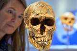 Un cambio en un gen hizo la diferencia entre el cerebro humano moderno y el neandertal