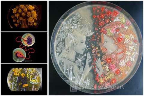 El arte que microbiólogos hacen en placas Petri
