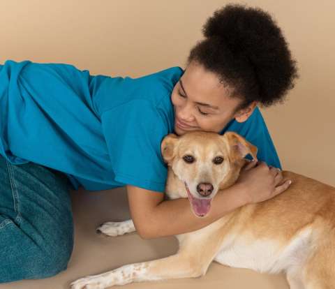 ¿Dónde adoptar perros y gatos en Bogotá?  Estas 10 mascotas buscan hogar