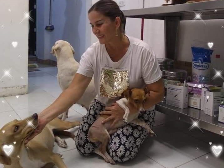 Centro de Adopción y Protección Animal (CAPA): los ’superhéroes’ de los peludos en Neiva