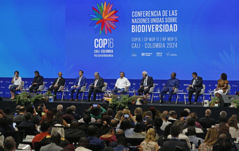 ¿Por qué todo el mundo está hablando del último día de la COP16?