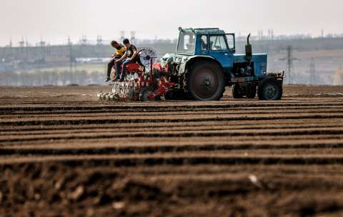 Los cereales, el otro frente de la guerra en Ucrania: ¿qué pasa con su exportación?