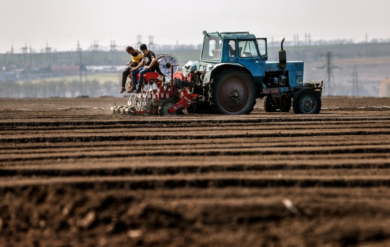 Los cereales, el otro frente de la guerra en Ucrania: ¿qué pasa con su exportación?
