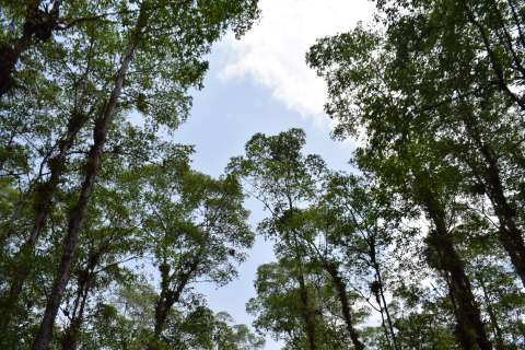 Del acuerdo a la acción: reconstruir la biodiversidad