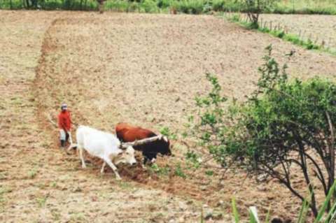 Modernización del catastro rural, clave en la transformación del campo