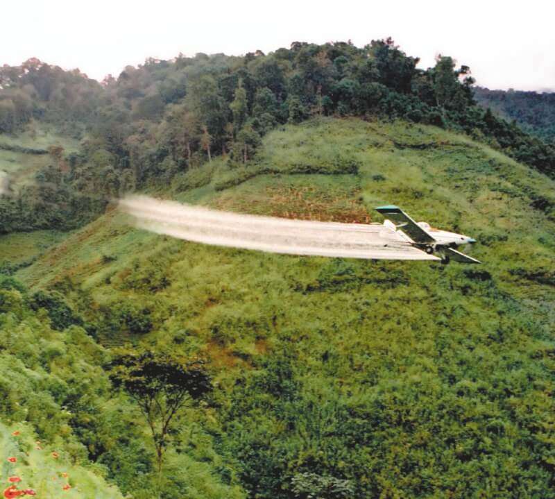 En Colombia, el uso del glifosato para contener los cultivos de uso ilícito comenzó en 1978. / credito