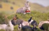 Polonia invita a sus habitantes a imitar a los conejos para aumentar la natalidad