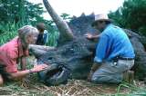 Los protagonistas de "Jurassic Park", 25 años después