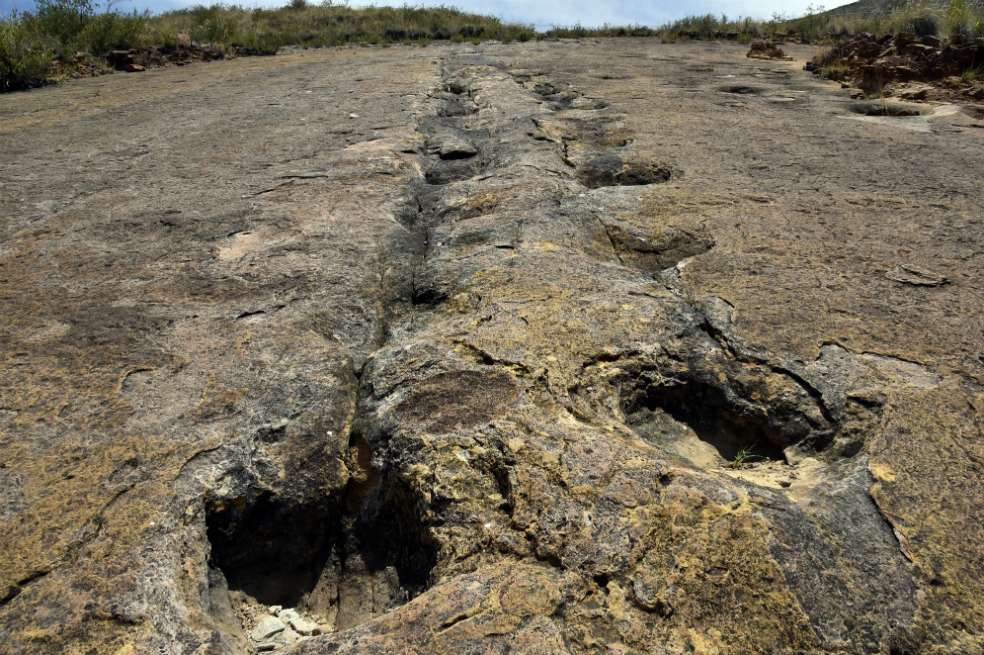 Las pisadas de dinosaurios encontradas en Bolivia varían en tamaño, entre 20 y 50 centímetros. / AFP