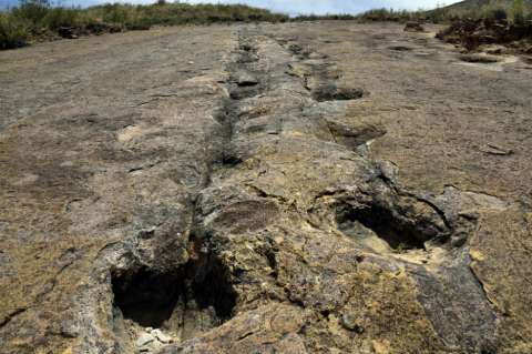 Reserva natural de Bolivia busca convertirse en el nuevo “Parque Jurásico”