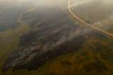 Incendio en Pantanal, Brasil: arde el humedal más grande del planeta