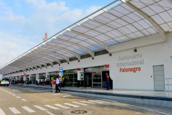 Imagen de referencia. La presencia masiva de gallinazos en las cercanías del aeropuerto de Palonegro se ha facilitado por la cercanía con focos de contaminación en el área metropolitana de Bucaramanga.